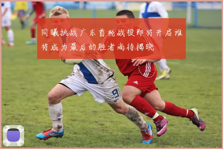 同曦挑战广东首轮战役即将开启谁将成为最后的胜者尚待揭晓