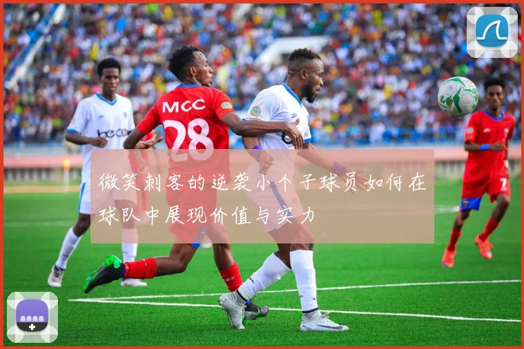 微笑刺客的逆袭小个子球员如何在球队中展现价值与实力