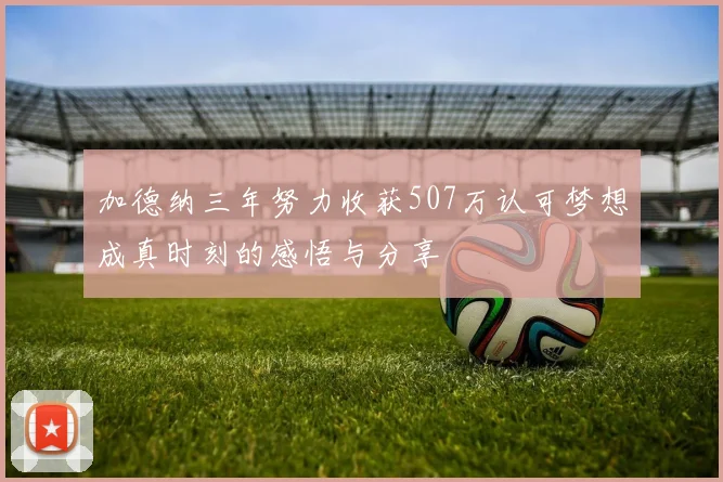 加德纳三年努力收获507万认可梦想成真时刻的感悟与分享