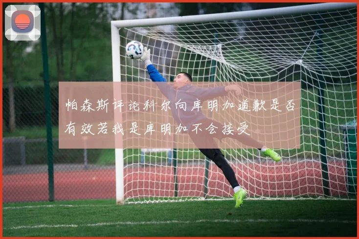 帕森斯评论科尔向库明加道歉是否有效若我是库明加不会接受